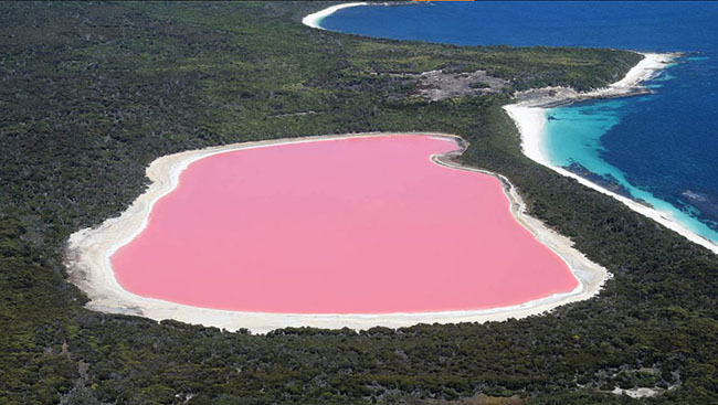Hồ Hillier, Tây Úc: Hồ đáng chú ý này được phát hiện vào năm 1802 trên hòn đảo lớn nhất ở Tây Úc. Hồ có màu nước hồng đậm quanh năm do độ mặn cao kết hợp với một loài tảo tạo thành.
