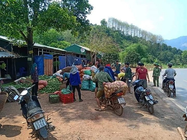 Thậm chí có những vườn xoài bị bốc gốc coi như mất cả vốn lẫn lời.