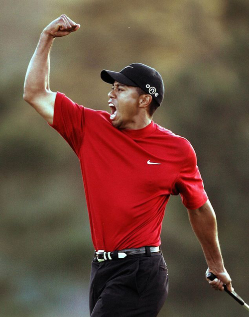 Tỷ phú USD - Tiger Woods cực giàu: &#34;Siêu hổ&#34; gầm vang, làng thể thao quy phục - 2