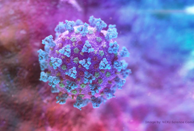 Hình ảnh virus corona gây ra đại dịch COVID-19