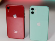 Thời trang Hi-tech - Chọn ai giữa iPhone SE 2020, iPhone Xr và iPhone 11?