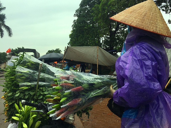 Để vớt vát chút tiền vốn, chị Nhung phải đứng dầm mưa cả ngày để bán những bó hoa ly với giá lỗ hơn một nửa.