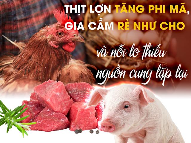 Thịt lợn tăng phi mã, gia cầm rẻ như cho và nỗi lo thiếu nguồn cung lặp lại