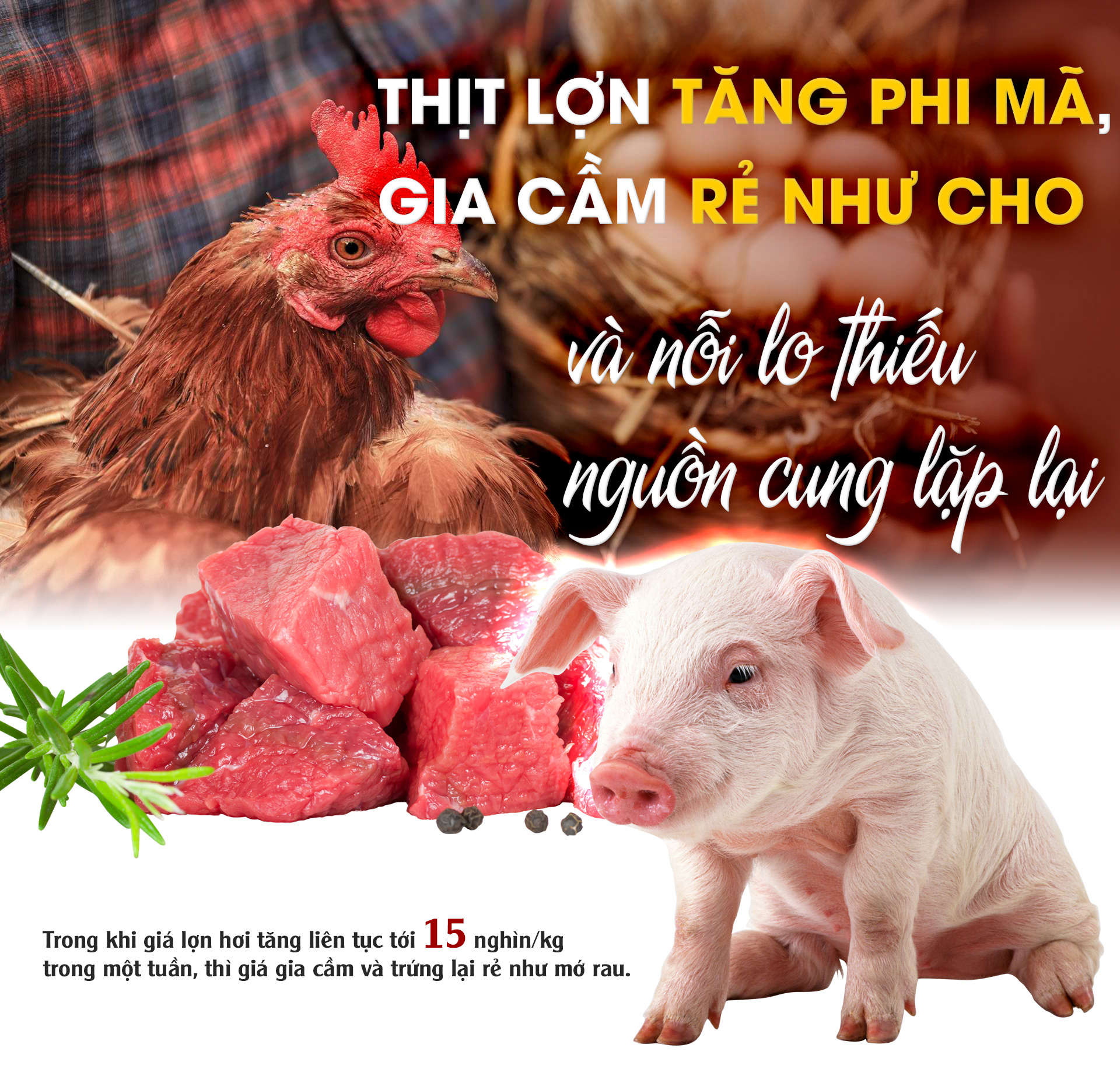 Thịt lợn tăng phi mã, gia cầm rẻ như cho và nỗi lo thiếu nguồn cung lặp lại - 1