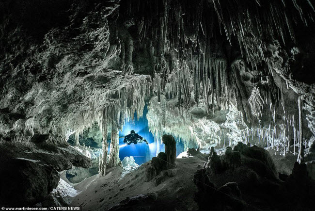&nbsp;Martin Broen, 49 tuổi, đã mạo hiểm lặn xuống mạng lưới hang động ngầm ở Riviera Maya, Mexico. Bức ảnh này được chụp dưới hang động Cenote Sushi.