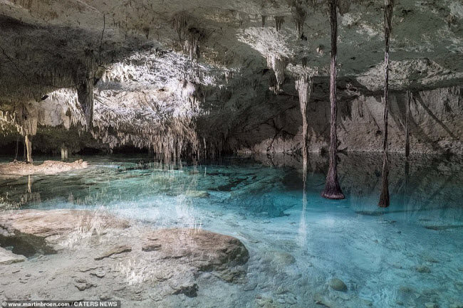 Khung cảnh đẹp mê hồn dưới hang động ngập nước ở Riviera Maya, Mexico.