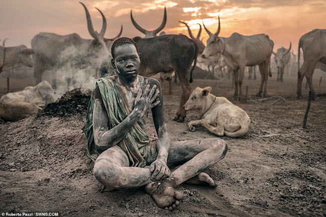 Bộ tộc Mundari ở Nam Sudan tôn sùng bò và luôn đối xử với chúng giống như người.