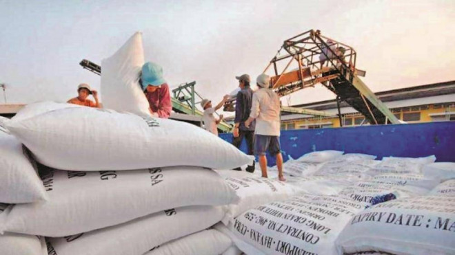 Bất cập xuất khẩu gạo: Doanh nghiệp có sẵn hàng tại cảng thì không đăng ký nổi tờ khai trong khi doanh nghiệp có tờ khai thì không có gạo...