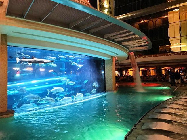 Golden Nugget, Mỹ: Khách sạn và casino ở thành phố Las Vegas có tổ hợp nước The Tank, bao gồm máng trượt nước ba tầng cho phép du khách vui chơi ngay sát những con cá mập.
