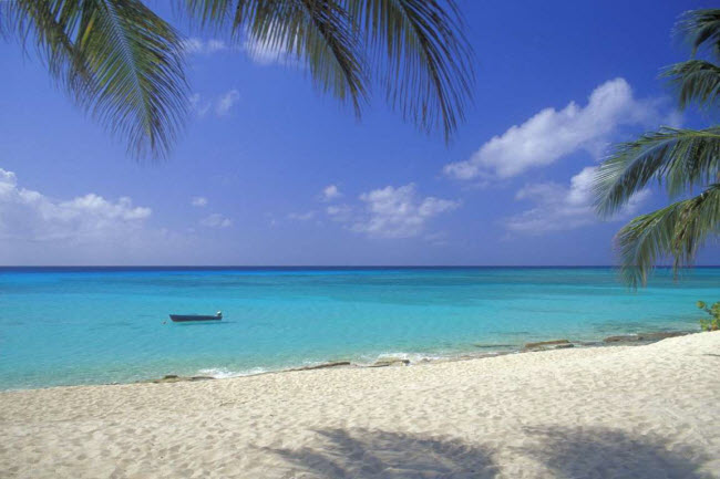 Seven Mile Beach, quốc đảo Grand Caymans: Bài biển ở vùng Caribbe khiến du khách không muốn rời đi khi đặt chân tới.
