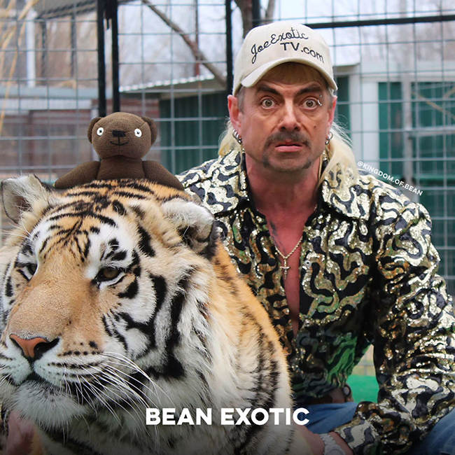 Nhìn Joe Exotic bớt &#34;ngầu&#34; hơn với gương mặt của Mr Bean.