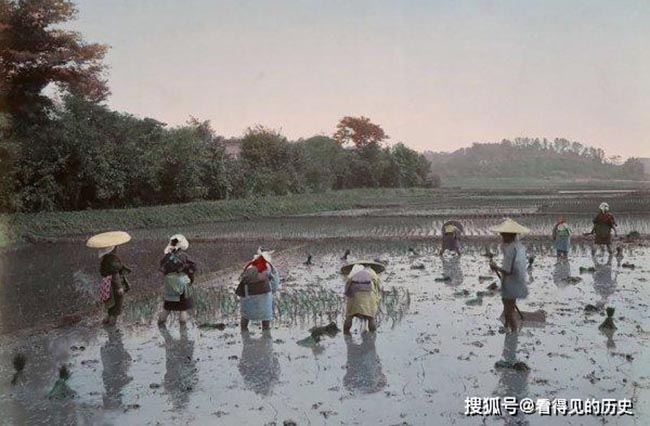 Thời điểm này, nghề nông vẫn là ngành chiếm vai trò quan trọng đối với đất nước.
