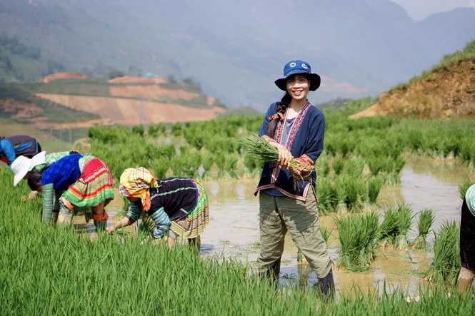 Tâm An cấy lúa cùng bà con người Mông.