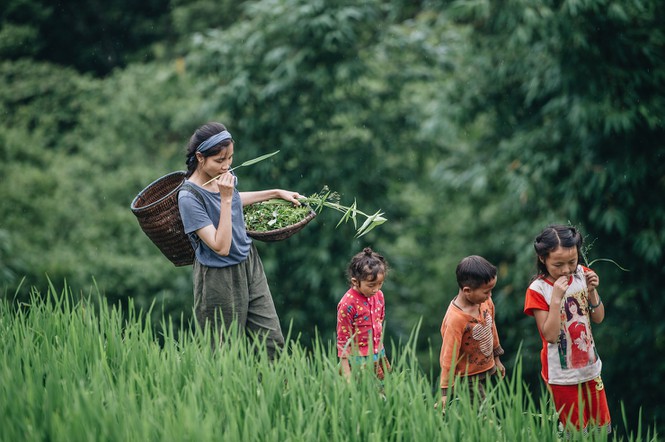 "Cô Lang" lên nương cùng trẻ em trong bản.