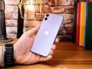 Thời trang Hi-tech - iPhone 11 vẫn giữ ngôi vương về doanh số iPhone trong quý này