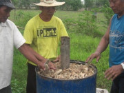 Thị trường - Tiêu dùng - Lõi ngô là thứ vứt đi ở Việt Nam, nay thành &quot;mỏ tiền&quot; không đủ bán