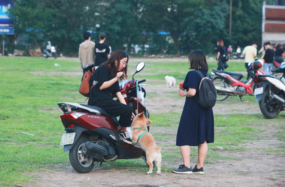 Đây cũng là địa điểm quen thuộc của những người nuôi thú cưng. Khu vực này từng là địa điểm tổ chức offline cho hội người yêu động vật.