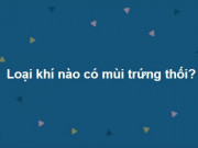 Giáo dục - du học - Trắc nghiệm: Giáo sư biết tuốt cũng ”toát mồ hôi” với 15 câu hỏi này