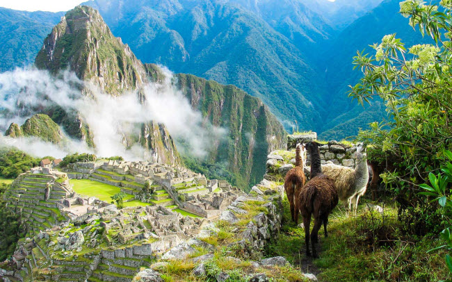 Đi bộ tới Machu Picchu, Peru: Mùa hè là thời điểm đông du khách tới kỳ quan Machu Picchu, nhưng đây là thời gian lý tưởng nhất để chiêm ngưỡng bầu trời xanh, cánh đồng cỏ xanh mướt và phong cảnh đẹp dọc tuyến đường đi bộ tới địa điểm này.
