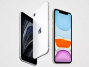 Thời trang Hi-tech - Camera iPhone SE 2020 liệu có &quot;ngon&quot; hơn iPhone 11?