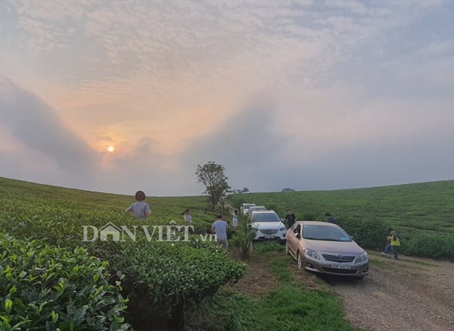 &nbsp;Khách du lịch chụp ảnh và check in ở đồi chè, thị trấn nông trường Mộc Châu, huyện Mộc Châu.