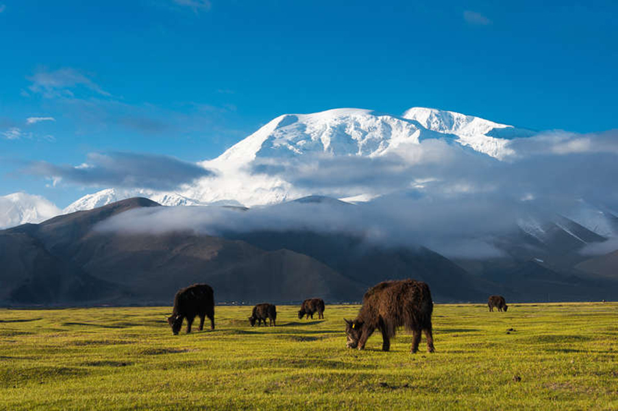 Những ngọn núi đặc biệt nhất Trung Quốc khiến du khách mê mẩn - 8
