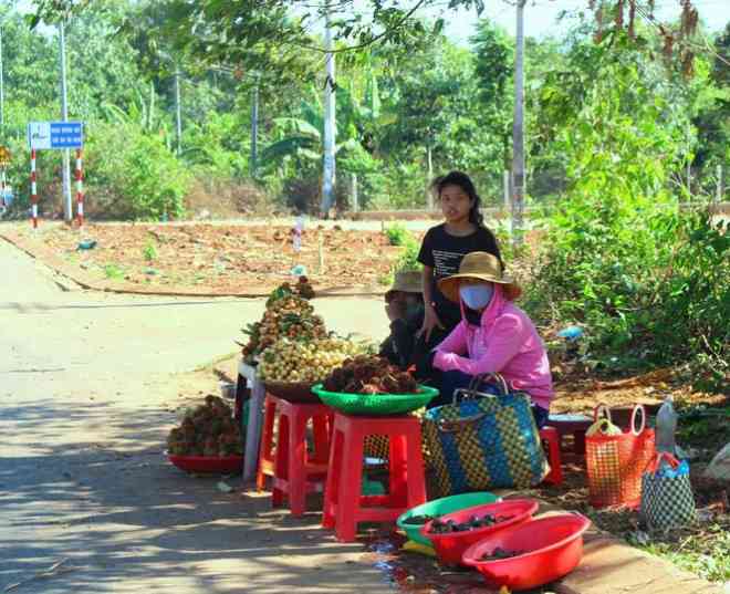 Đi dọc các tuyến đường liên huyện, liên tỉnh xuyên Tây Nguyên, dễ dàng bắt gặp hình ảnh các chị, các mẹ đồng bào Êđê bày bán nhiều loại trái cây có nguồn gốc từ rừng.&nbsp;