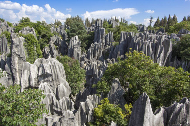 Thạch Lâm, Trung Quốc: Khu rừng đá Thạch Lâm bao gồm các cấu trúc đá vôi hình thành cách đây 270 triệu năm. Dưới các cấu trúc đá này là hang động, hồ và sông ngầm.
