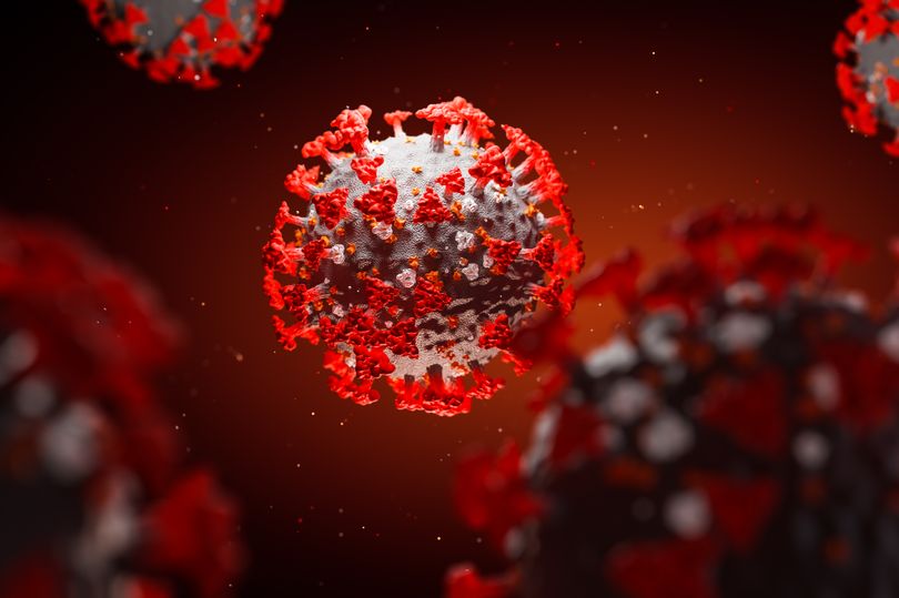 Theo nghiên cứu mới, chủng virus đột biến nguy hiểm hơn chủng gốc SARS-CoV-2. Ảnh: Mirror