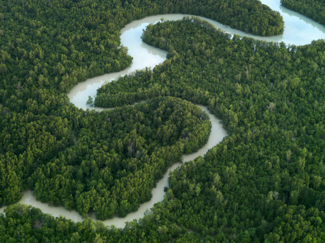 Con sông chảy uốn lượn giống như con rắn khổng lồ qua một khu rừng ở Malaysia.
