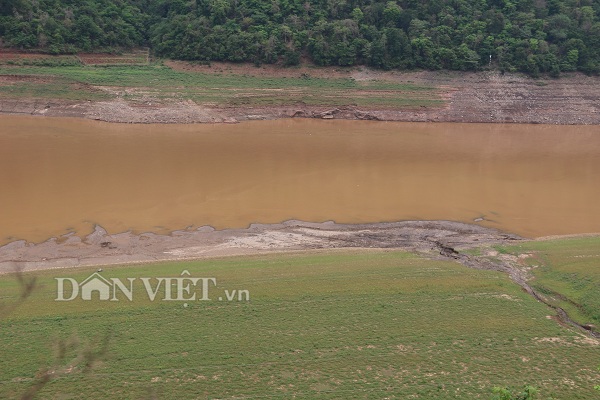 Thời điểm nước lòng hồ sông Đà cạn và chuyển sang màu đục là thời điểm các ngư phủ sông nước ngược xuôi vét lưới săn cá khủng.