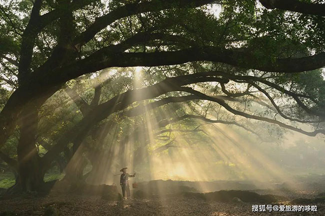 6 địa điểm tuyệt đẹp ở Trung Quốc có thể &#34;chữa bệnh&#34; cho những người đang bị &#34;cuồng chân&#34; sau đợt cách ly - 7