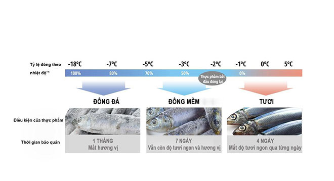 Dẹp tan nỗi lo ô nhiễm với tủ lạnh tích hợp công nghệ diệt khuẩn mới  - 2