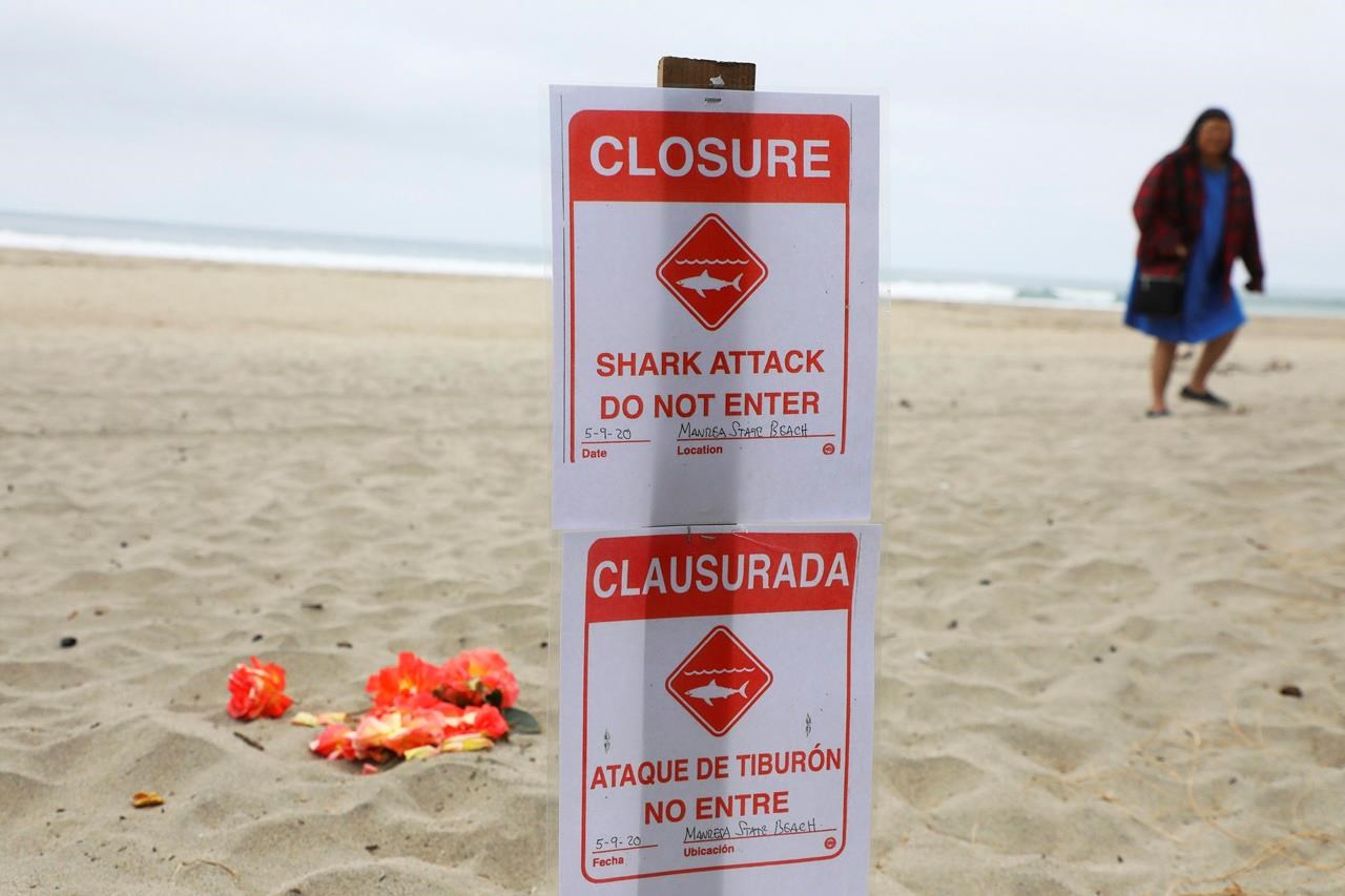 Biển báo được dựng lên trên bãi biển Manresa để cảnh báo du khách về khả năng bị cá mập tấn công sau khi Ben Kelly thiệt mạng (ảnh: ABC News)
