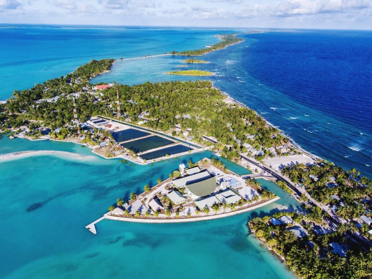 Kiribati – quốc gia rợp bóng dừa (ảnh: BBC)