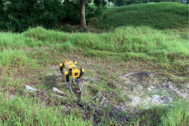 Singapore thả “chó robot” ra công viên để nhắc nhở người dân trong mùa dịch Covid-19 - 2