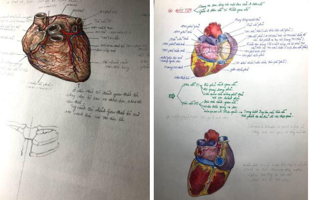 Nam sinh đa tài nhận cơn mưa lời khen nhờ vẽ bộ phận cơ thể người chân thực đến mức khó tin - 3