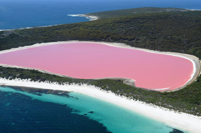 Hồ Hillier, Australia: Màu nước hồng&nbsp; dưới hồ tương phản với nước trong xanh ngoài biển Thái Bình Dương gần đó. Nguồn gốc của màu nước trong hồ vẫn còn là một bí ẩn, nhưng phần lớn các giả thuyết cho rằng, nó liên quan tới nồng độ muối cao trong hồ.
