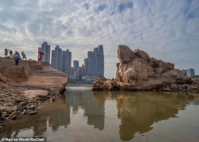 Du khách đổ xô đi xem rùa đá khổng lồ ở Trung Quốc - 1