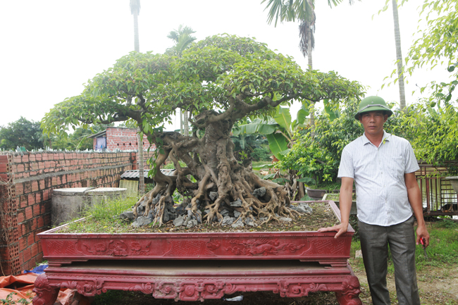 Khi được hỏi sao anh có có nhiều tiền mà không mua xe hơi, xây nhà lầu, anh Hùng chia sẻ: “Tôi có bao nhiều tiền đầu tư hết vào cây, nhà lầu xe hơi tôi không thích. Đến quần áo tôi cũng chẳng thích mặc diện, mình muốn sống như một người nông dân thực thụ, đam mê với cây cảnh”.
