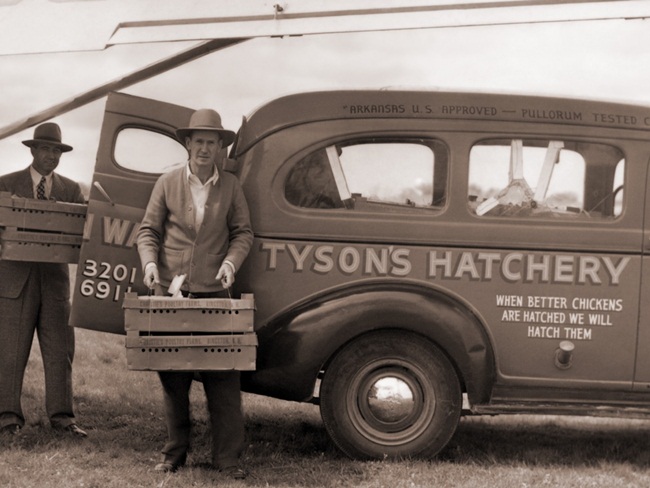 Lịch sử công ty bắt đầu từ năm 1931, khi ông John W.Tyson chuyển đến Springdale, Arkansas và khởi nghiệp với doanh nghiệp cung cấp gà cho vùng Trung Tây nước Mỹ. Năm 1940, nhu cầu về gia cầm tăng lên, gia đình Tyson chuyển sang nuôi gà con và nghiền thức ăn chăn nuôi cung cấp cho khách hàng
