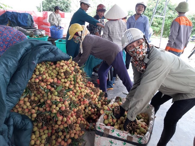 Cảnh buôn bán vải sớm đầu mùa tấp nập tại Thanh Hà