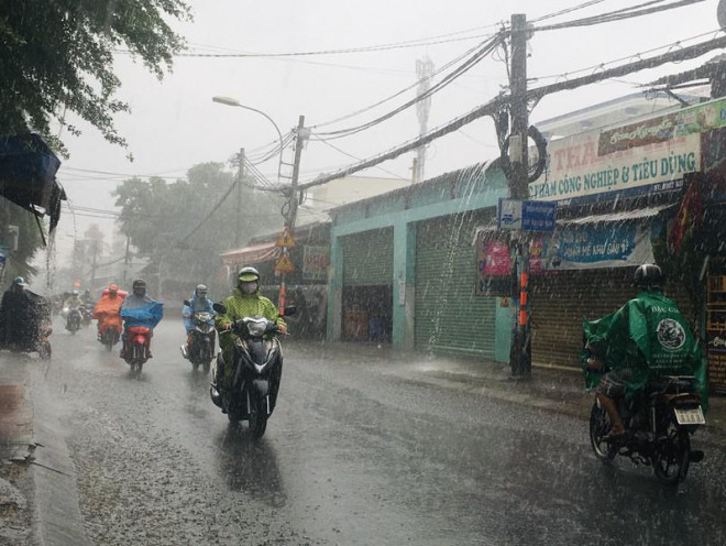 Cơn mưa tầm tã chỉ trong chốc lát cũng phần nào khiến thời tiết mát mẻ hơn. Ảnh: Nguyễn Trà