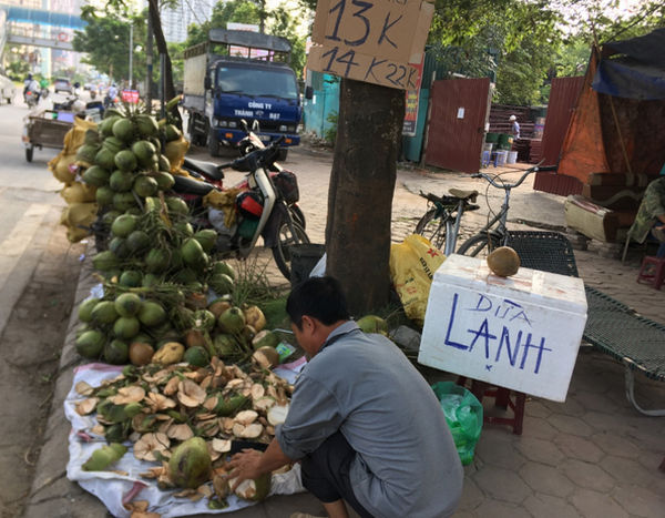 Anh Lâm cho biết ngày càng có nhiều người bán dừa giải khát trên các tuyến đường tại Hà Nội