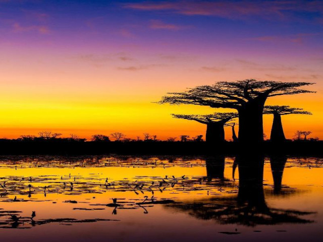 Du lịch - Những cảnh vật thiên nhiên lạ mắt chỉ có ở Madagascar