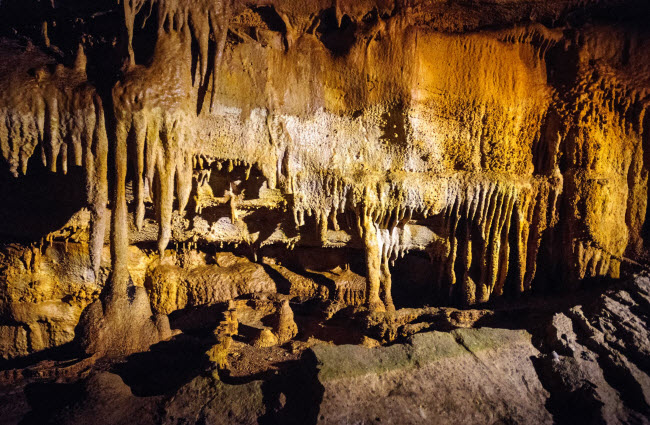 Mammoth, Mỹ: Vườn quốc gia hang động Mammoth ở bang Kentucky có hệ thống hang động dài nhất trên thế giới. Khu bảo tồn này có hàng chục km đường hầm tự nhiên nằm dưới đất.
