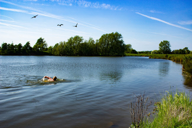 Người đàn ông bơi dưới hồ nước ở Hoveringham, Nottinghamshire.
