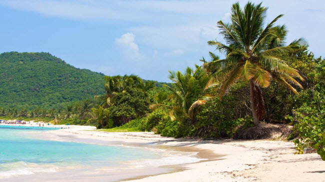 Flamenco, Puerto Rico: Nằm trên hòn đảo Culebra, bãi biển Flamenco có cát trắng mịn và nước biển trong tĩnh, rất lý tưởng cho hoạt động lặn ống thở. Du khách cũng có cơ hội khám phá những chiếc xe tăng của Mỹ bị bỏ lại tại đây.
