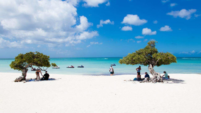 Eagle Beach, Aruba: Bãi biển Eagle Beach là địa điểm lý tưởng dành cho những du khách đang tìm kiếm một kỳ trăng mật hoàn hảo. Bạn có thể nghỉ ngơi dưới bóng mát của hai cây fofoti trên bãi biển, hay lựa chọn nhiều hoạt động như bơi và chơi tennis trên bờ biển.
