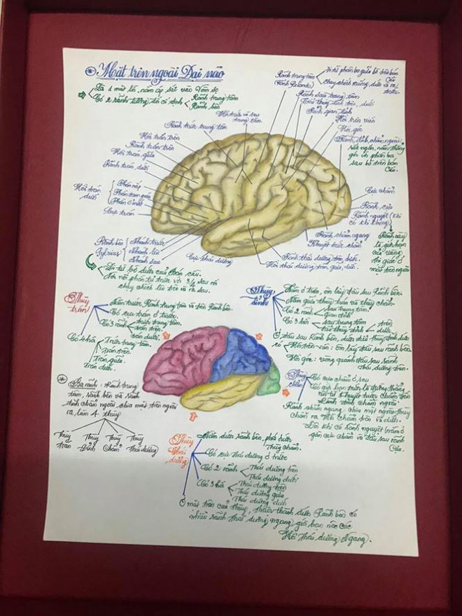 "Thật bất ngờ khi biết sinh viên y khoa lại tài năng đến vậy!" là nhận xét chung của nhiều cư dân mạng khi xem những bức vẽ của Tấn Tài.